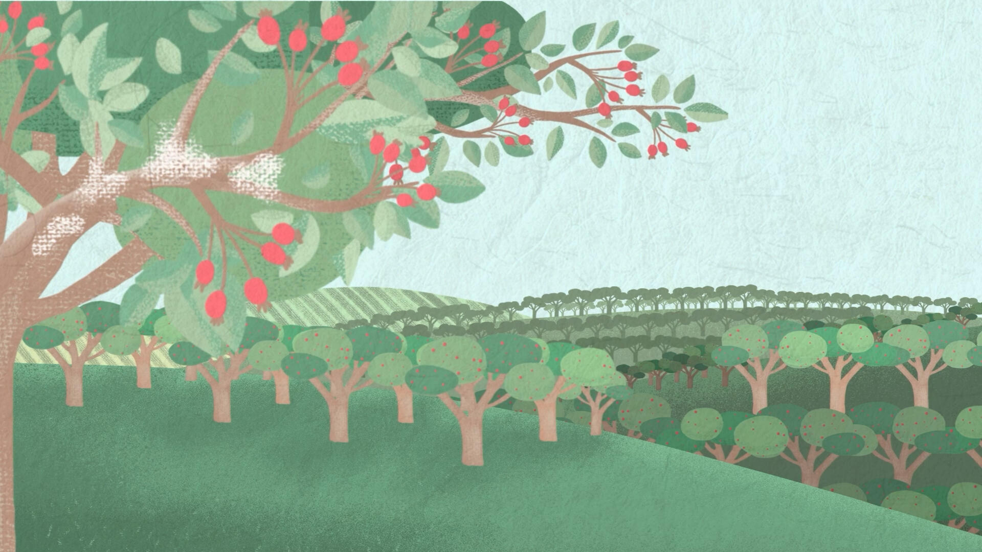 Illustrazione di video materico