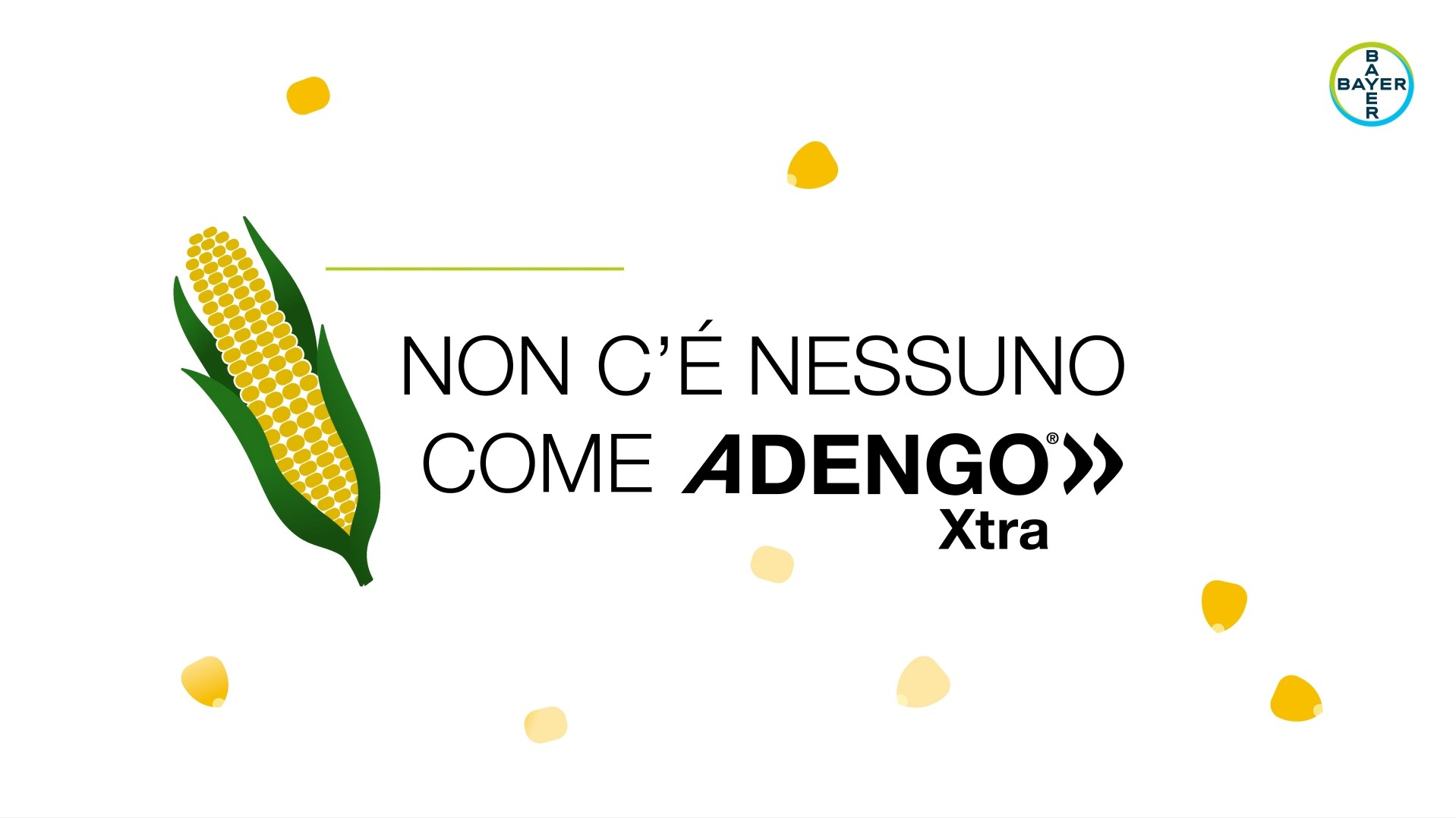 Adengo - promo video